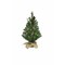 Celebrations Celebrations 2 ft. Full Incandescent 35 ct Table Top Christmas Tree TCWT20P00A - alternate 1